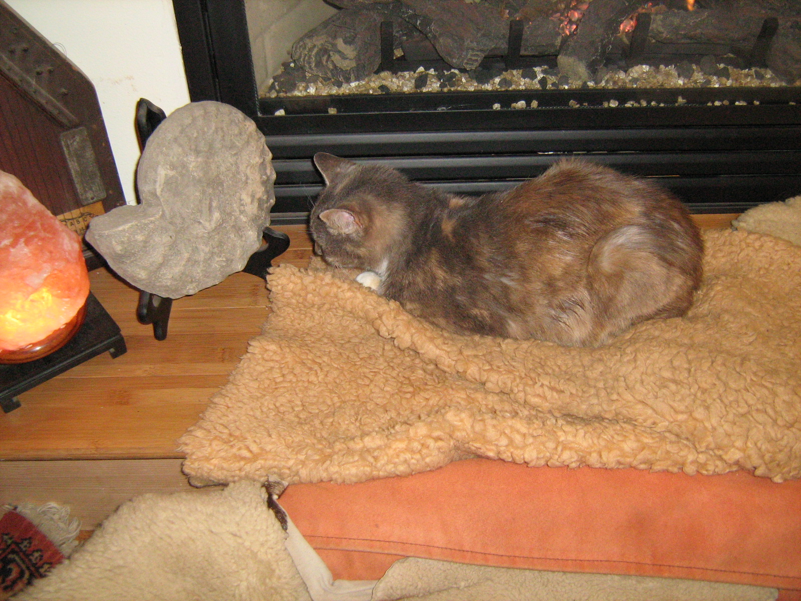 Frida on her bed in front of the fireplace. Frida on her bed in front of the fireplace.