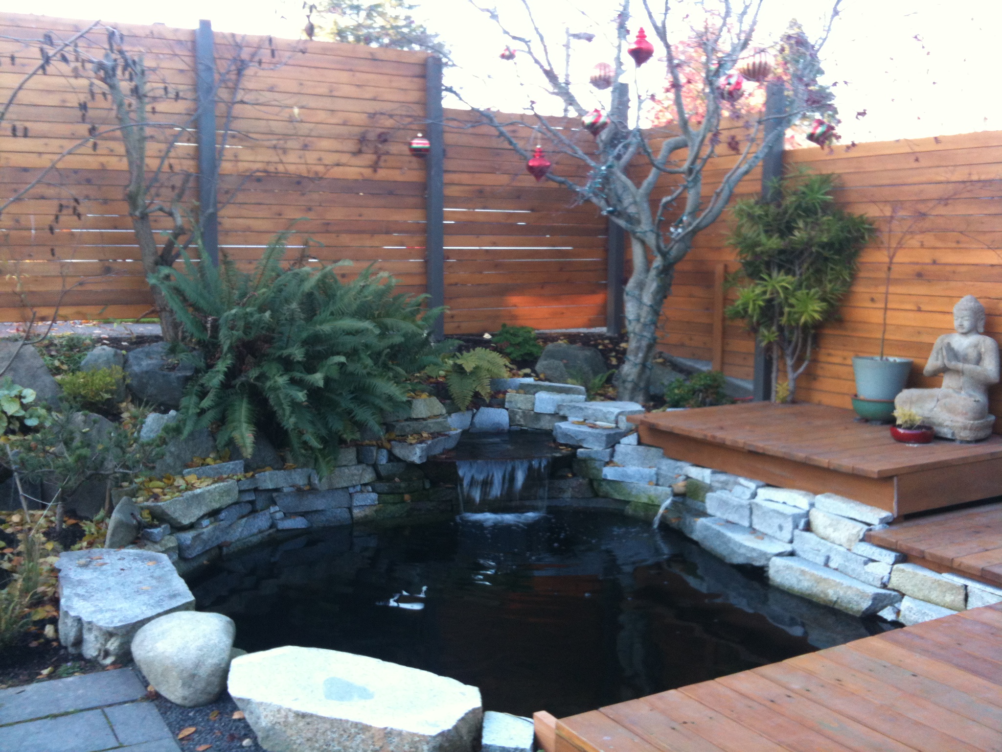 Pond Pond