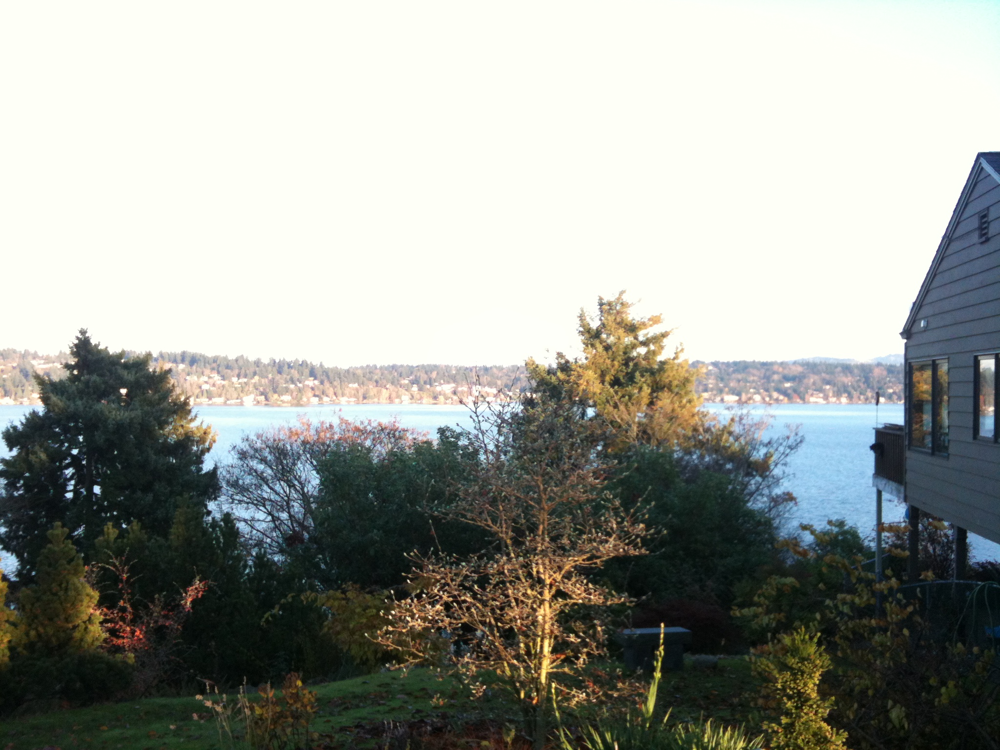 View of Lake Washington View of Lake Washington