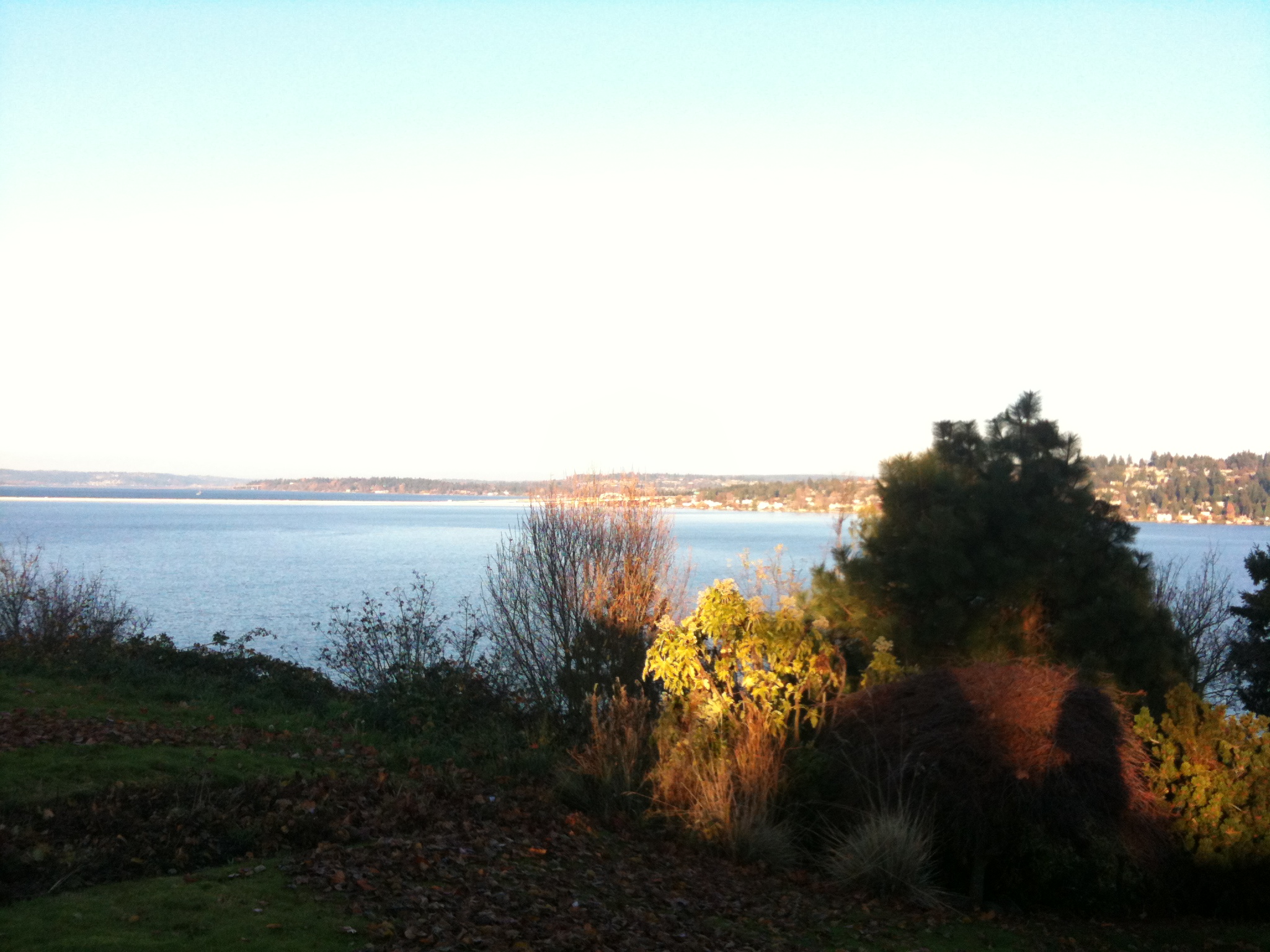 More Lake Washington views More Lake Washington views